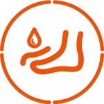 Ülemine vedelikukaitse